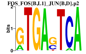 logo of FOS_FOS{B,L1}_JUN{B,D}.p2